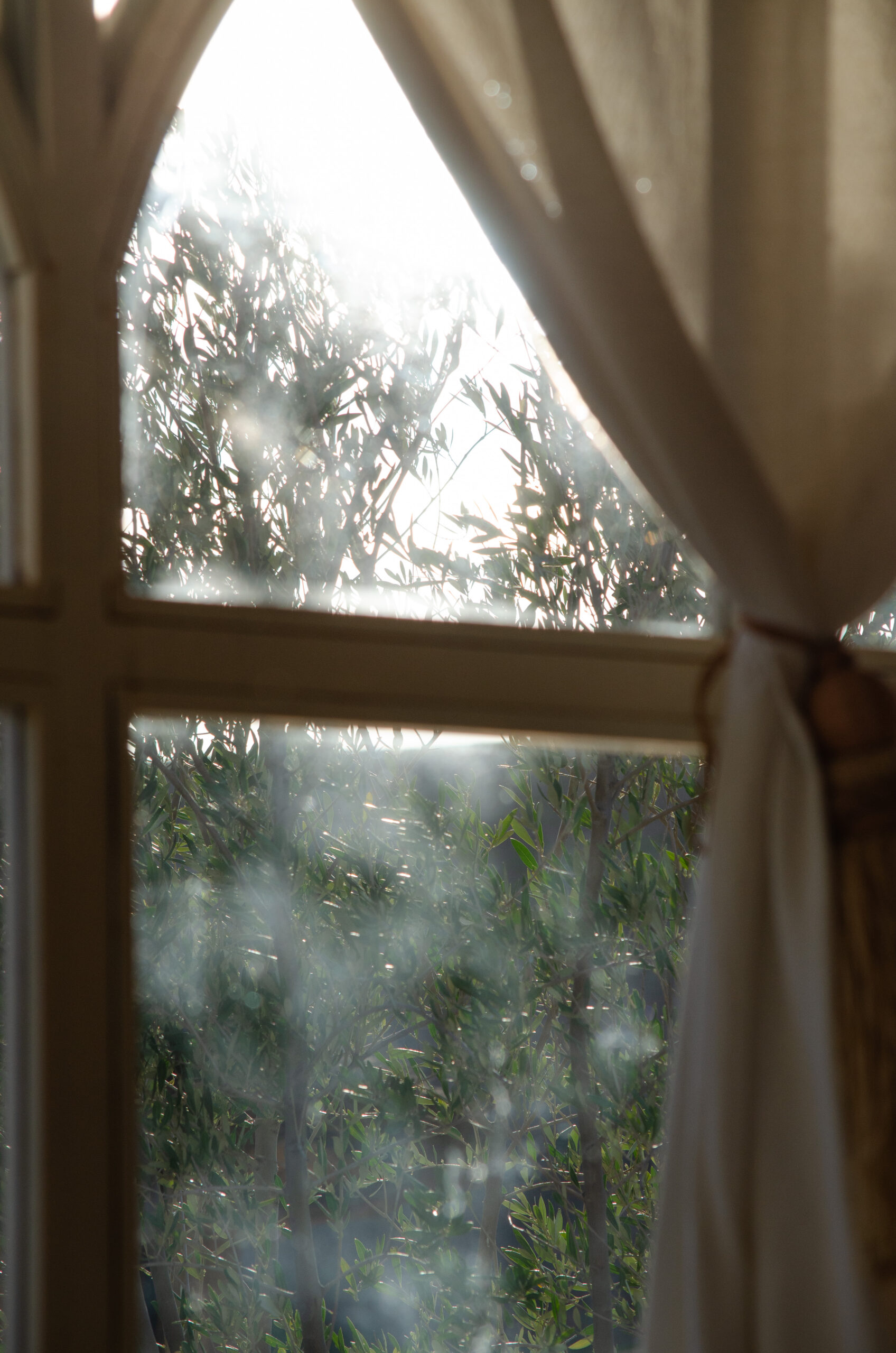 Une parenthèse au milieu du désert